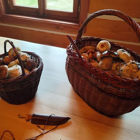Roubenka Skalnicka Летний дом *